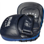 Focus Mitts "Intro"