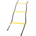 Ladder for coordinational training