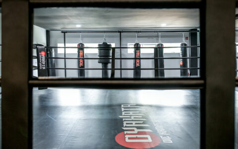 Boxing ring and punching bags